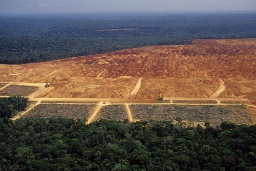 deforestacin-en-brasil